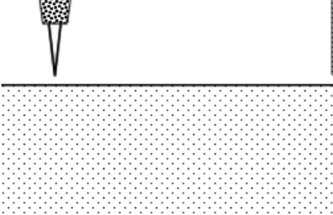 VACCINE DELIVERY USING THE NEMAURA SOLID DOSE INJECTOR