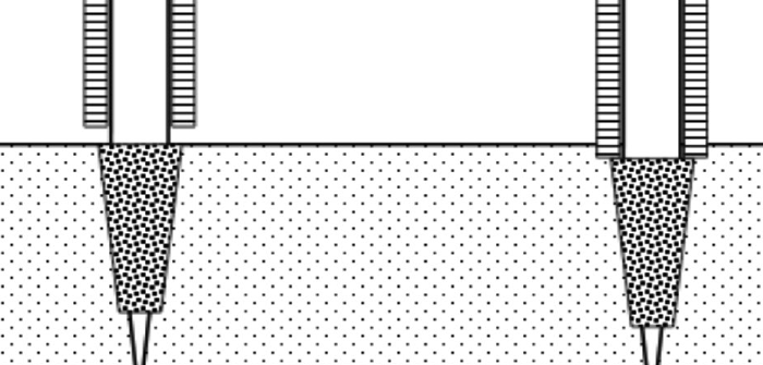 #65 - March 2016 Nemaura Figure 2