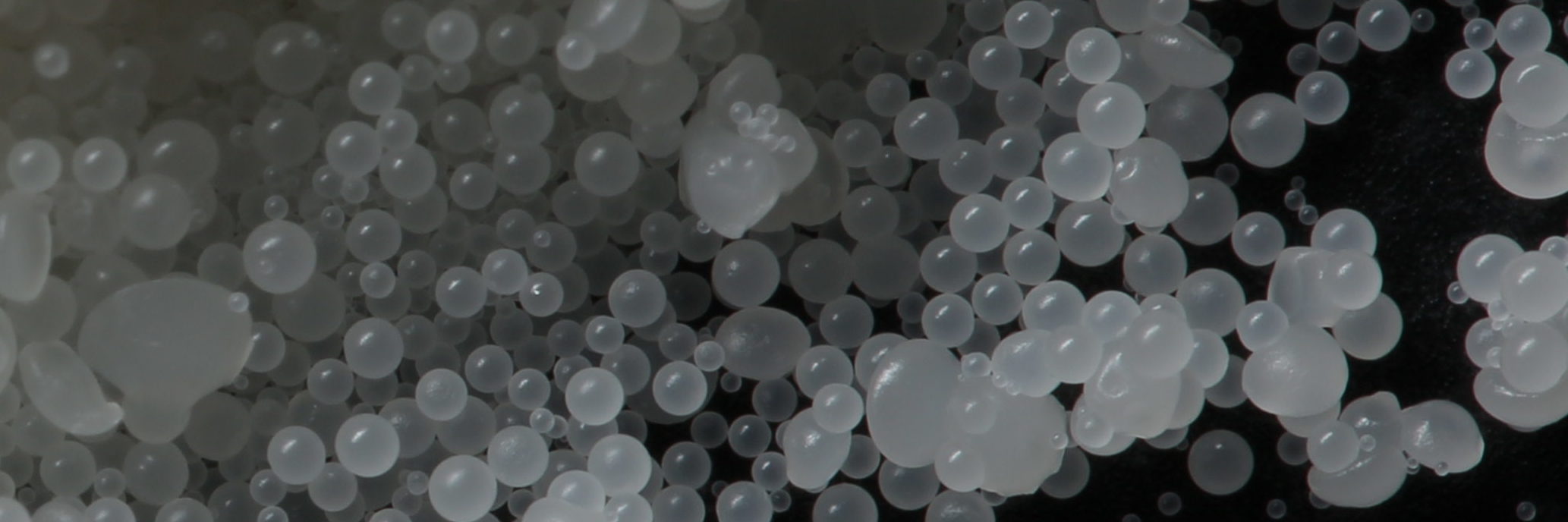 #69 July 2016 - Orbis featured