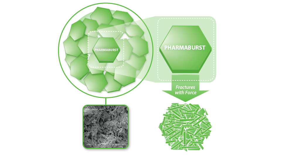 #77 Jul2017 ONdrugDelivery SPI Pharma feautured