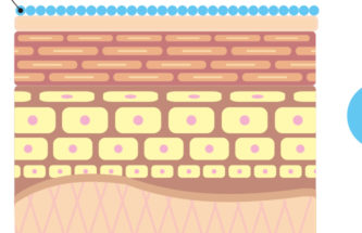 DISSOLVABLE MICRONEEDLES: APPLICATIONS AND OPPORTUNITIES