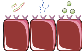 TARGETING DRUGS TO DISEASED OCULAR CELLS