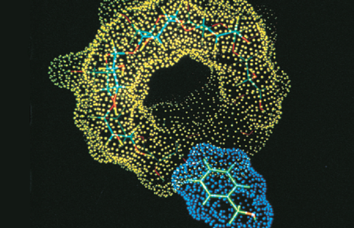 #97_May_2019_Roquette_featured