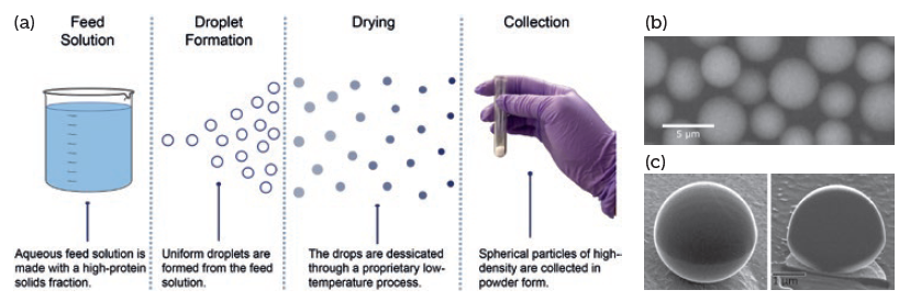 Figure 1: Elektroject™ microparticle production process (a), microparticles (b), and a cross section of a single microparticle demonstrating non-porous morphology (c).