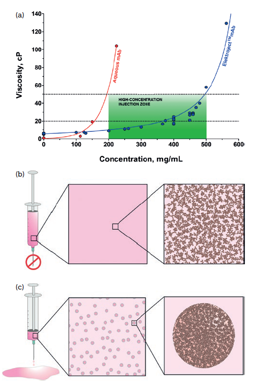 Figure 2: Elektroject™ enables high concentrations of biologics at low viscosity. Graph’s x-axis shows protein concentration for aqueous mAb and particle concentration for Elektroject™ mAb (a). Intermolecular forces drive viscosity and protein degradation at high viscosity (b). Elektroject™ formulations physically reorganise protein solutions into reversible suspensions to reduce viscosity (c).