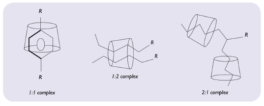 Figure 5: Representation of molecular encapsulation possibilities.