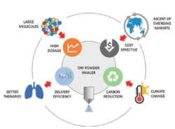 DRY POWDER INHALERS: TOWARDS EFFECTIVE, AFFORDABLE, SUSTAINABLE ...