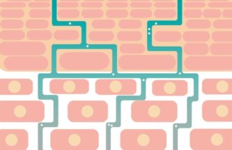 SYNERGISING EXCIPIENTS TO BOOST SKIN DELIVERY