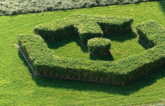 ASTHMA & COPD: ENVIRONMENTAL SUSTAINABILITY & PATIENT-CENTRICITY