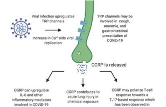 BIOHAVEN GIVEN FDA GO-AHEAD TO BEGIN PHASE II TRIAL OF INTRANASAL VAZEGEPANT IN COVID-19 LUNG INFLAMMATION