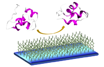 SURFACE-MEDIATED AGGREGATION – CONTROL OF THE LIQUID-SOLID INTERFACIAL STRESS