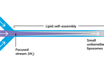 AUTOMATED LIPID NANOPARTICLE PRODUCTION: FROM PROTOCOL DEVELOPMENT TO GMP MANUFACTURE
