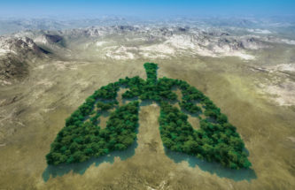 TOWARDS A MORE SUSTAINABLE FUTURE WITH pMDI SOLUTIONS