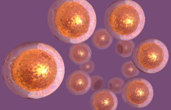 AN INVITATION TO PARTICIPATE IN STANDARDISATION OF PARTICLE MEASUREMENTS FOR PHARMACEUTICALS