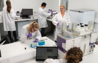 HIGH-THROUGHPUT SCREENING TO ACCELERATE NANOMEDICINE DISCOVERY