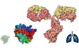 EXPLORING THE POTENTIAL OF NEBULISED BIOLOGICS