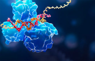 REVOLUTIONISING EYE CARE: THE POTENTIAL OF ANTISENSE OLIGONUCLEOTIDES